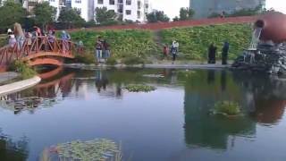 The water pond of Hulhumale Central Park [upl. by Harutak94]