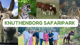 Knuthenborg Safaripark  4K Tour Highlight  Southern Denmark [upl. by Earehc]