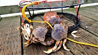 Catch n Cook Dungeness Crab Part 1 of 3 Crab and Salmon Trip in Crescent City CA [upl. by Yuma]