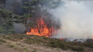 Flinke Heidebrand bij Waalre vuurzee verwoest gebied van 200 bij 75 meter [upl. by Ahsienahs]