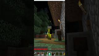 Minecraft But I Have Haste 255 minecraft [upl. by Ellemaj]