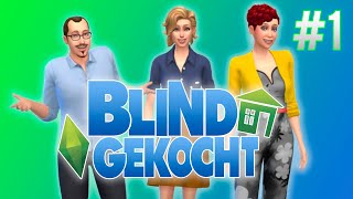 BLIND GEKOCHT PARODIE IN T WEST VLAMS [upl. by Devinne]