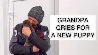 Dog Grandparents Start Crying After Meeting A Puppy [upl. by Nortna]