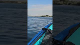 kayaking Columbia River nature naturelovers columbiariver [upl. by Sandra743]