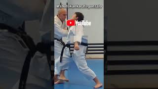 KATA EMPI BUNKAI ¡Aquí tienes enlace al vídeo ¡Here you have link to the video👊🥋😉 karate bunkai [upl. by Asilanom]