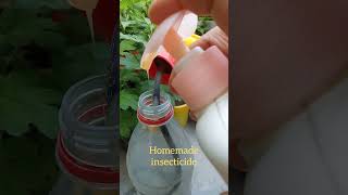 How to make homemade insecticide homemade insecticides tips gardningtips gardening garden [upl. by Eidua]