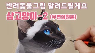 반려동물초상화샴고양이 그리기 실시간 방송 무편집 [upl. by Pirri]