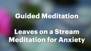 Leaves on a Stream Meditation for Anxiety [upl. by Markus]