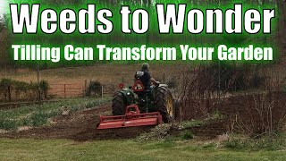 From Weeds to Wonder  How Tilling Can Transform Your Garden [upl. by Verdha]