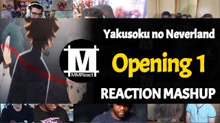 Yakusoku no Neverland Opening 1  Reaction Mashup [upl. by Xuagram]