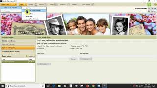 Family Tree Maker 2017 Plan Workspace [upl. by Rodd]