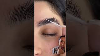 Brow Lamination eyebrows browlamination makeup laminatedbrows lashes browlights brows beauty [upl. by Mcclees]