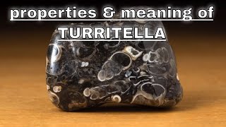 Turritella Agate Meaning Benefits and Spiritual Properties [upl. by Cock]