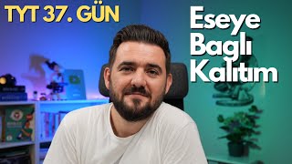 Eşeye Bağlı Kalıtım  39 Günde TYT Biyoloji Kampı  37 GÜN  yks2025 [upl. by Aix]