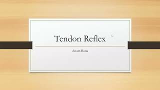 Tendon reflexes [upl. by Northington]