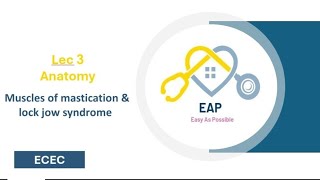 Lec 3 Anatomy  Muscles of mastication amp lock jow syndrome  ECEC 42 [upl. by Anatnas]