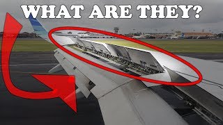 What are those things on the aircraft wing [upl. by Reggie627]