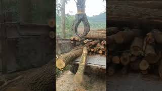 Forest logging loading process Good tools and machinery make work easy [upl. by Jit]