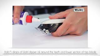 WAHL  How To Oil Your Clipper Blade [upl. by Nelehyram]