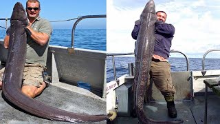 Amazing Giant Eel Fishing Skill on the Sea  Fastest Catching amp Processing Eel Fish [upl. by Nagrom]