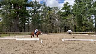 2023 USDF Training Level Test 2  4th Place  51124 [upl. by Aneerahs353]