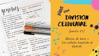 La division cellulaire 📣 partie 1 Notions de base haploïde diploïde 📣 SNV L2 Génétique [upl. by Airehtfele762]