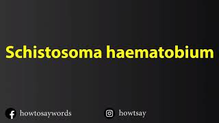 How To Pronounce Schistosoma haematobium [upl. by Akemeuwkuhc298]