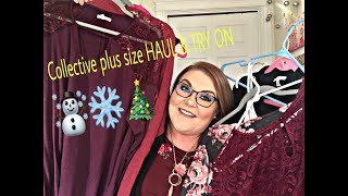 HUGE Plus size Tryon haul  Torrid Maurice’s Ross and MORE [upl. by Anairotciv]