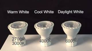 LED GU10 Light Bulbs [upl. by Aicekat]