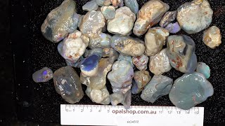 Ro4502  Nobby Opal Parcel from Lightning Ridge Australia [upl. by Yc725]