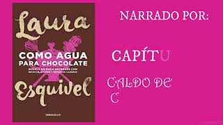 COMO AGUA PARA CHOCOLATEAUDIOLIBRO CAPÍTULO 7 CALDO DE COLITA DE RES [upl. by Gabey]