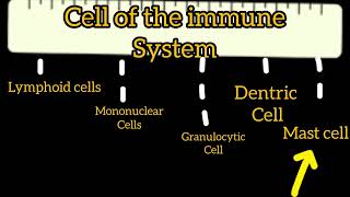 cells of the immune system overview in tamillife study channel immunology [upl. by Ahsimin]