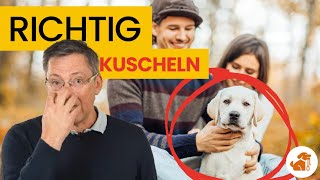 2 große Missverständnisse beim Kuscheln mit deinem Hund [upl. by Wyatan]