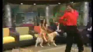 Dog Dances Merengue [upl. by Ayrb]