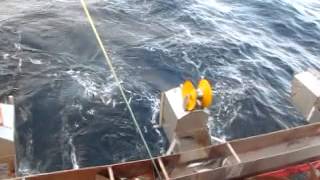 Jigging Mackerel in Norwegian Waters [upl. by Dawn]