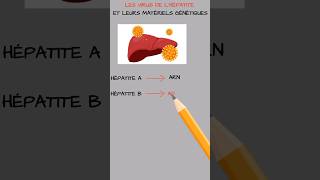 Les virus de lhépatite et leurs types de matériels génétiques [upl. by Patterson]