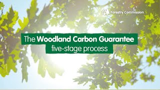 The Woodland Carbon Guarantee five stage process [upl. by Ahsitahs]