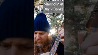 Mandolin at Black Banks musselsinthecorner [upl. by Nnaitsirhc575]