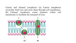 IONOPHORES [upl. by Notsehc]