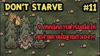 9 เทคนิคการฟาร์มเนื้อไก่สุดง่ายภายในฐานตัวเอง  Gobbler Guide Dont Starve  Dont Starve Together [upl. by Adonis]