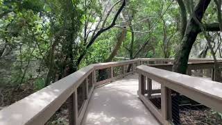 Gumbo Limbo Park Boca Raton [upl. by Kciregor]