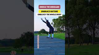 Dredge the meridiansqigong martialarts health [upl. by Karole]