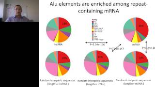 Daniel Caffrey  Evolution of Alu elements in long non coding RNA and mRNA [upl. by Naghem802]