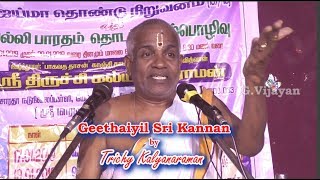 Geethaiyil Kannan  Trichy Kalyanaraman  கீதையில் கண்ணன் Villi Bharatham  ஜீவாத்மா  பரமாத்மா [upl. by Esinyl]