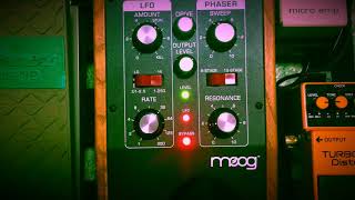 Moog MF103 12Stage Phaser  Sound check efmaniac111 [upl. by Spracklen]