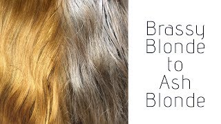 How To Brassy Blonde to Ash Blonde Wella Toner [upl. by Jansen]