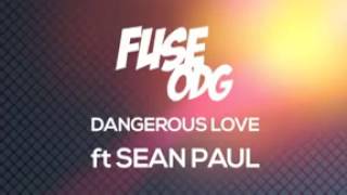 Fuse odg Dangerous love Ft sean paul [upl. by Aidin449]