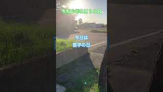 1番多い苗字は184万人いる「佐藤」さんだって。ちなみに2位は174万人で「鈴木」さん、3位は139万人の「高橋」さん 苗字の日 佐藤、鈴木、高橋、田中、伊藤 [upl. by Ajnot]