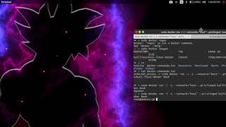 Kali Linux en Docker [upl. by Ilsel543]