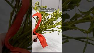 Is Mistletoe Dangerous Why You Should Rethink Keeping It at Home This Christmas [upl. by Nytsirc]